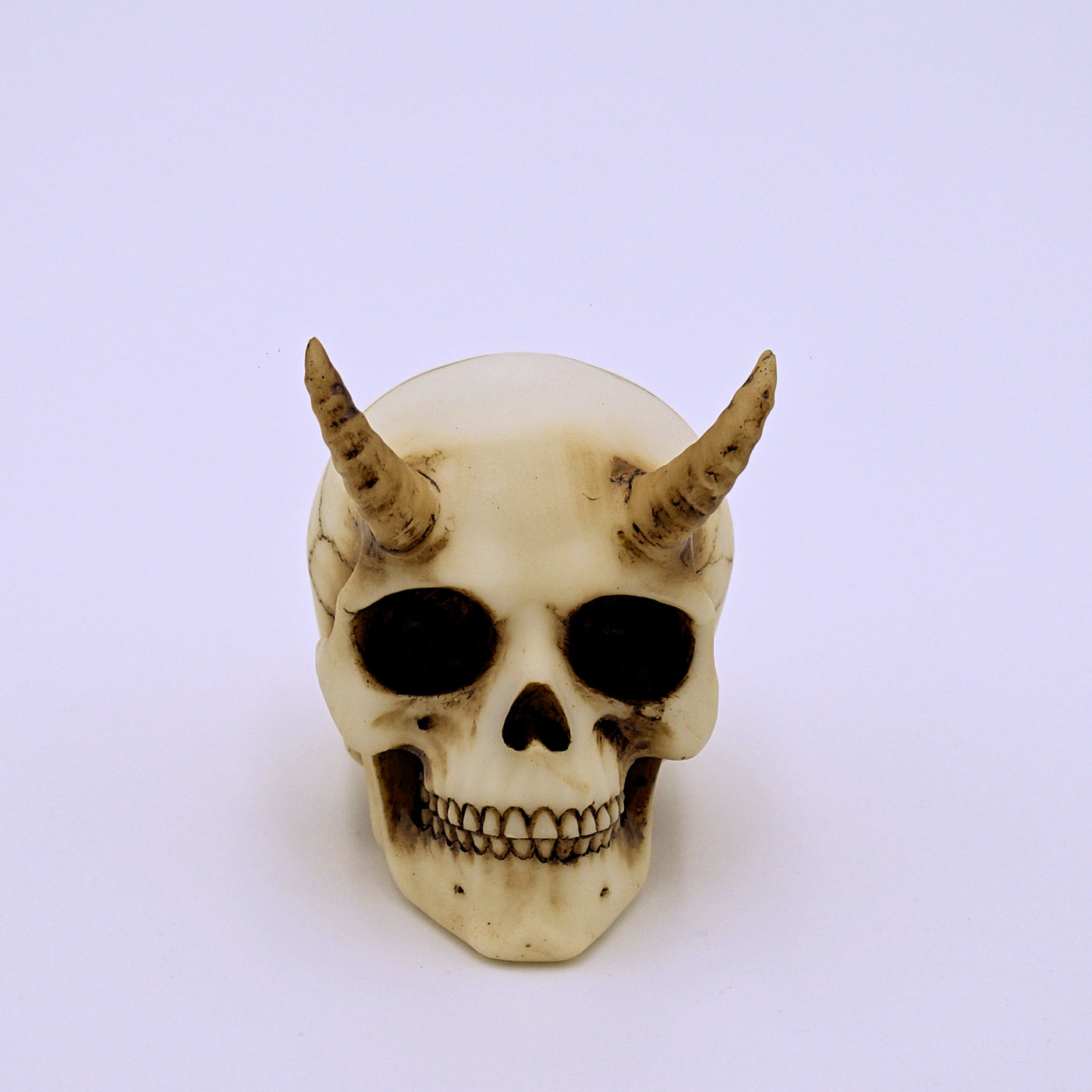 Baby Demon Skull Sculpture - The Cranio Collections