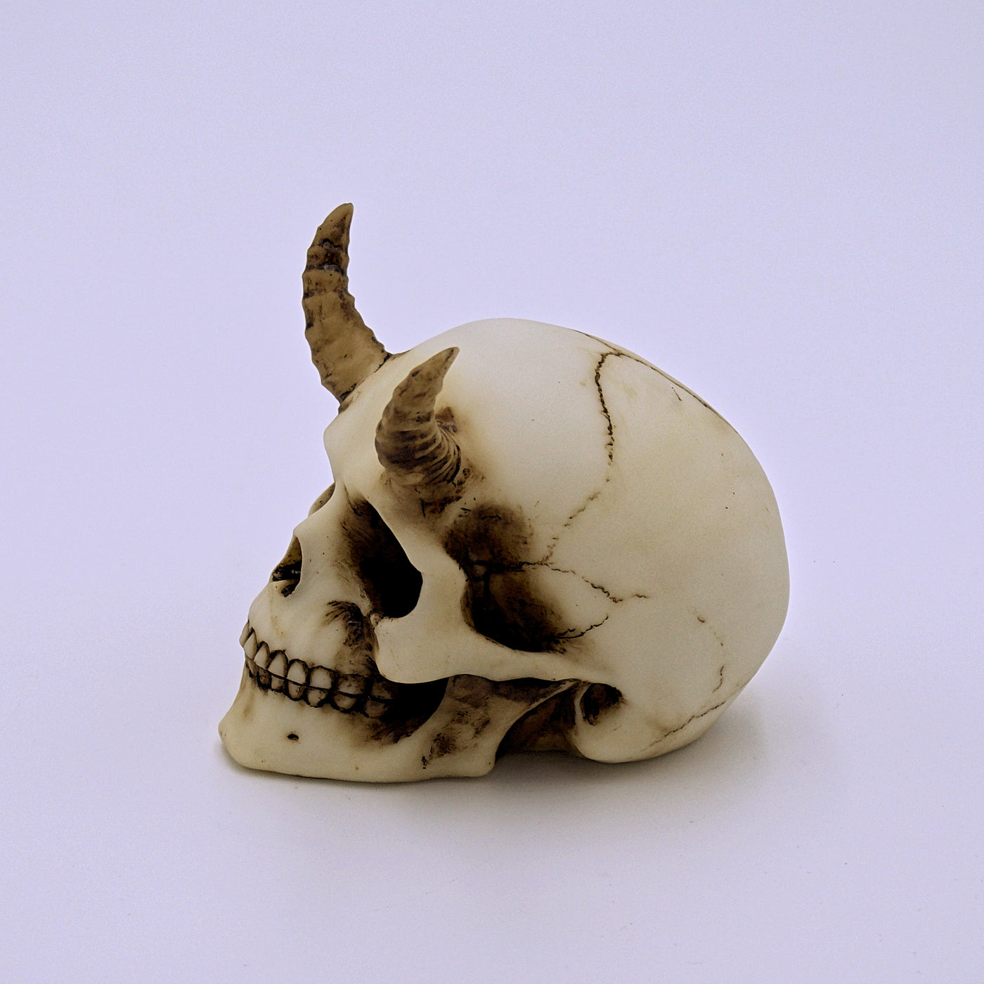 Baby Demon Skull Sculpture - The Cranio Collections