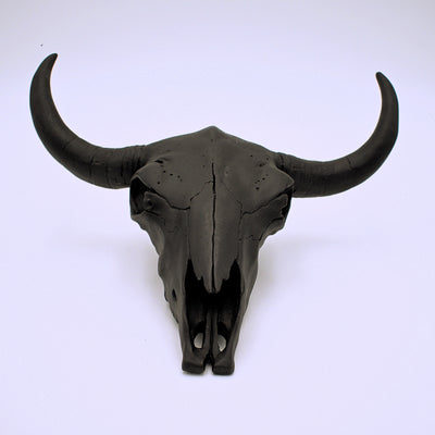 Bison Skull Wall Hanging - The Cranio Collections