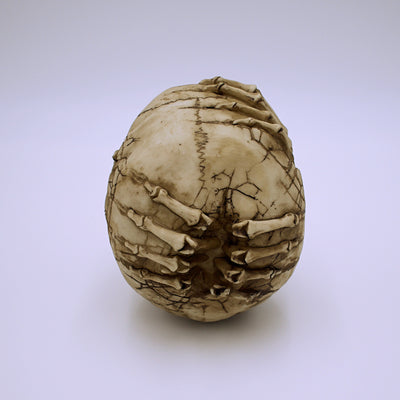 James Ryman's Breaking Out Design Skull Sculpture - The Cranio Collections