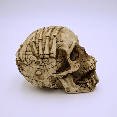 James Ryman's Breaking Out Design Skull Sculpture - The Cranio Collections