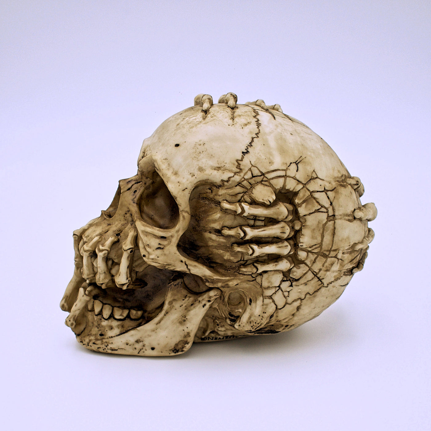 James Ryman's Breaking Out Design Skull Sculpture - The Cranio Collections