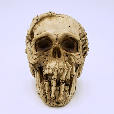 James Ryman's Breaking Out Design Skull Sculpture - The Cranio Collections