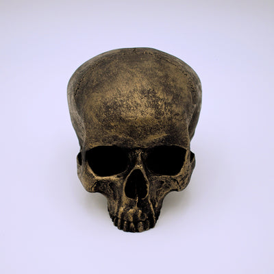 Bronze Finish Skull Sculpture - The Cranio Collections