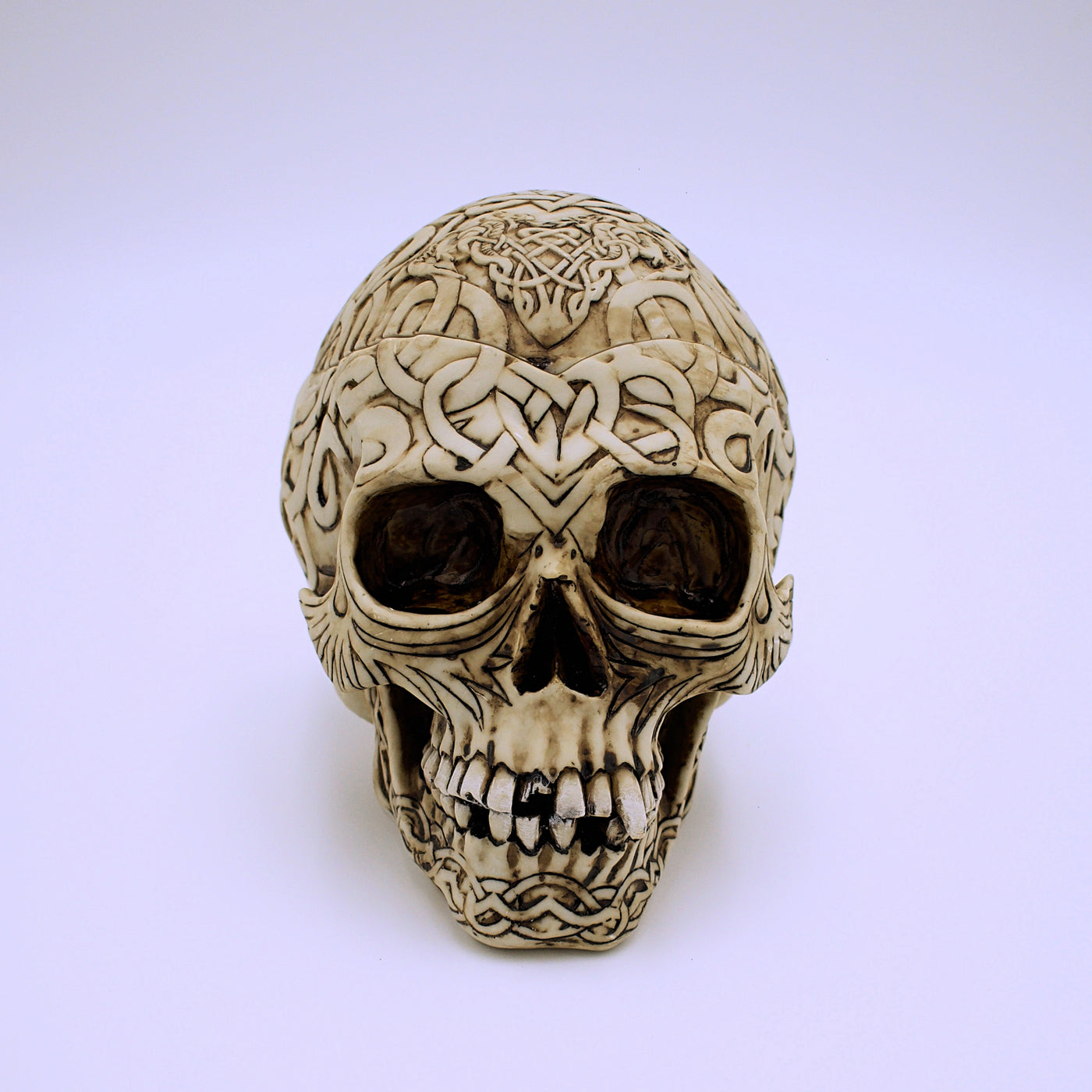 Celtic Skull Storage Box - The Cranio Collections