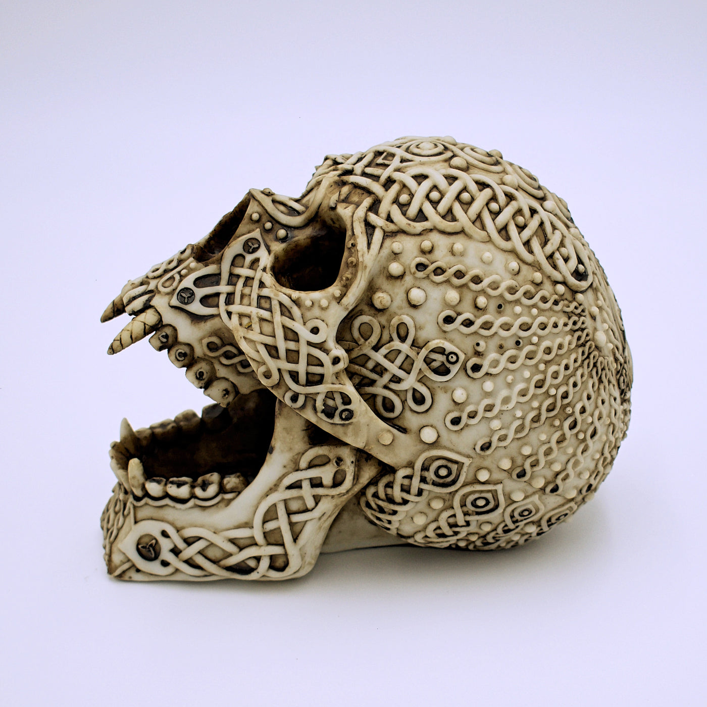 Celtic Vampire Skull Sculpture - The Cranio Collections
