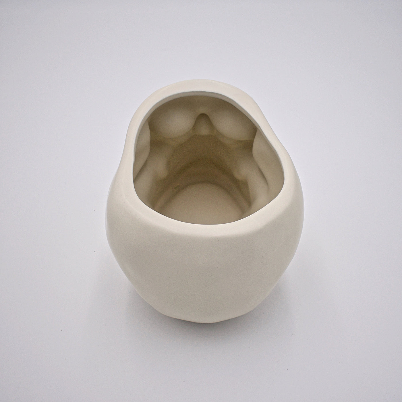 Ceramic Skull Plant Pot - The Cranio Collections