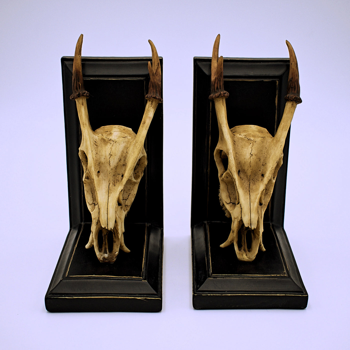 Barking Deer Skull Bookends Set of 2 - The Cranio Collections