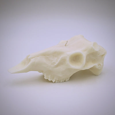 Deer Skull Shaped Soy Candle - The Cranio Collections