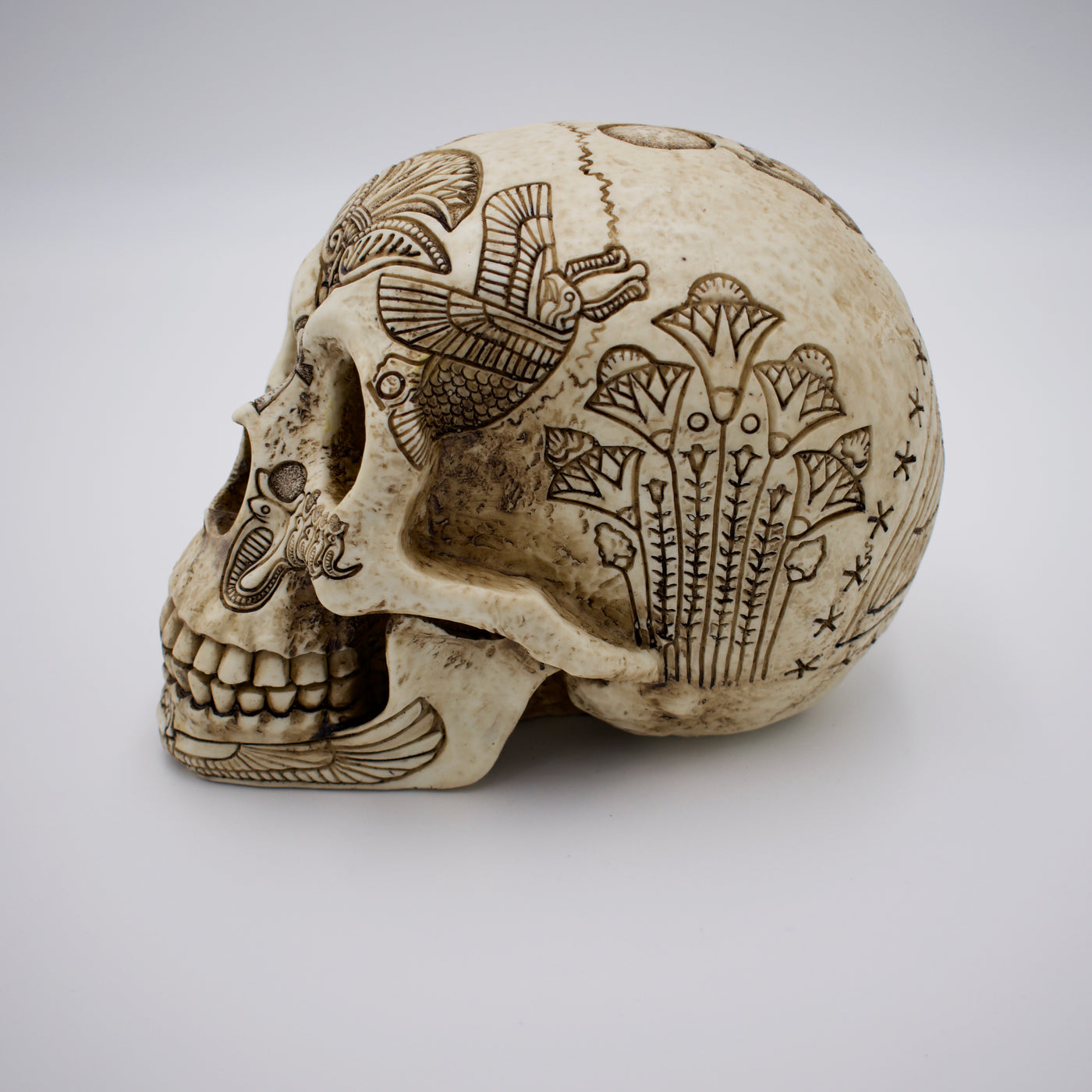 Egyptian Symbols Skull Sculpture - The Cranio Collections