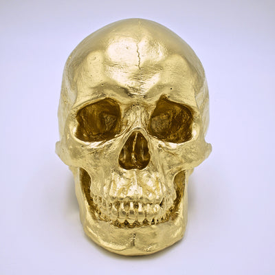 Metallic Gold Skull Sculpture - The Cranio Collections