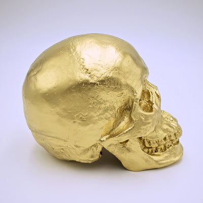 Metallic Gold Skull Sculpture - The Cranio Collections