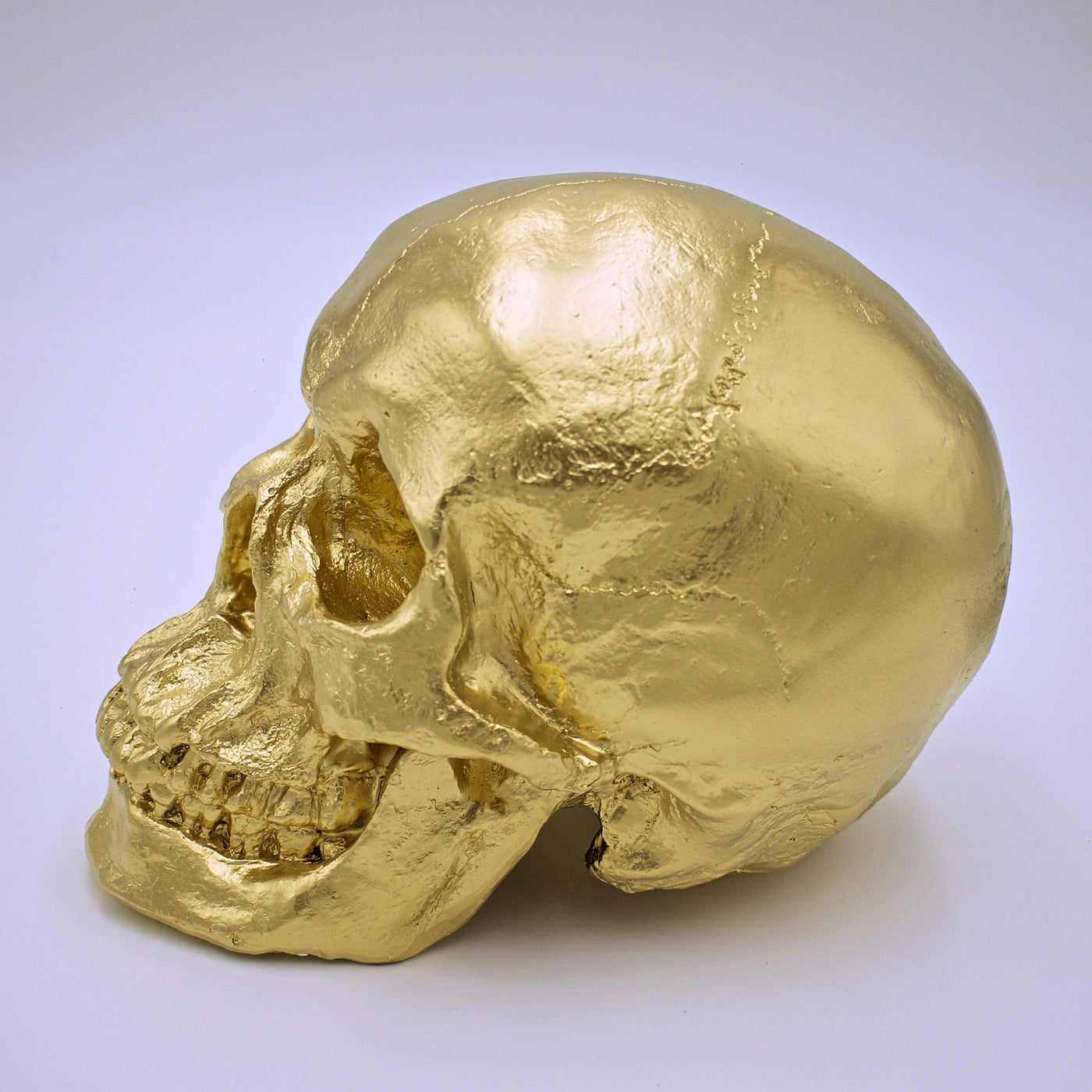 Metallic Gold Skull Sculpture - The Cranio Collections