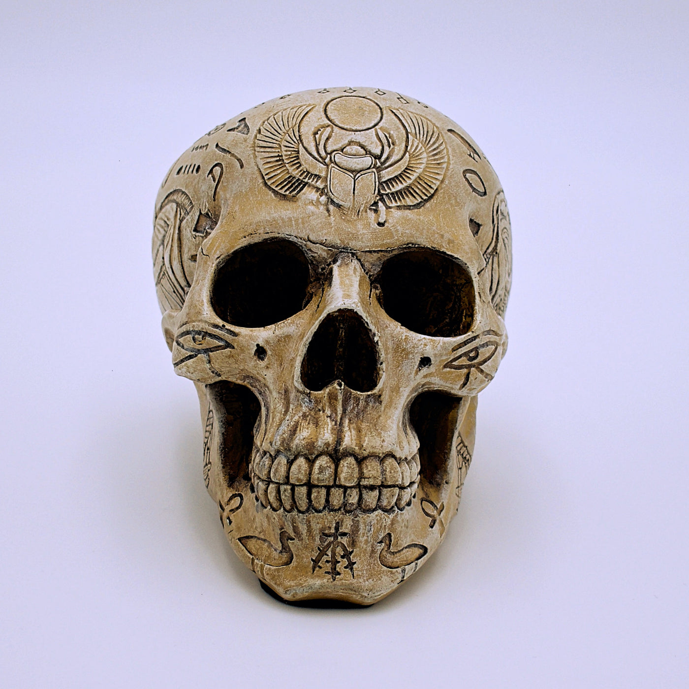 Egyptian Hieroglyphic Design Skull - The Cranio Collections