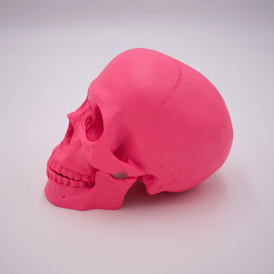 Hot Pink Skull Sculpture w/ Detached Jaw - The Cranio Collections