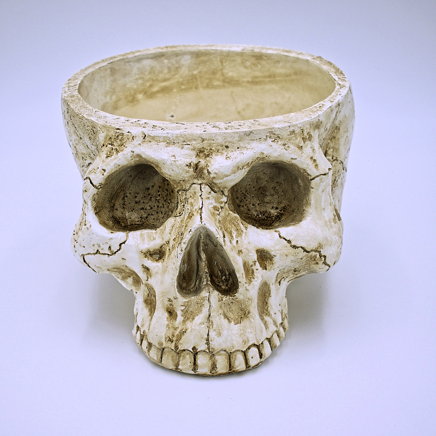 Large Weathered Skull Design Plant Pot - The Cranio Collections
