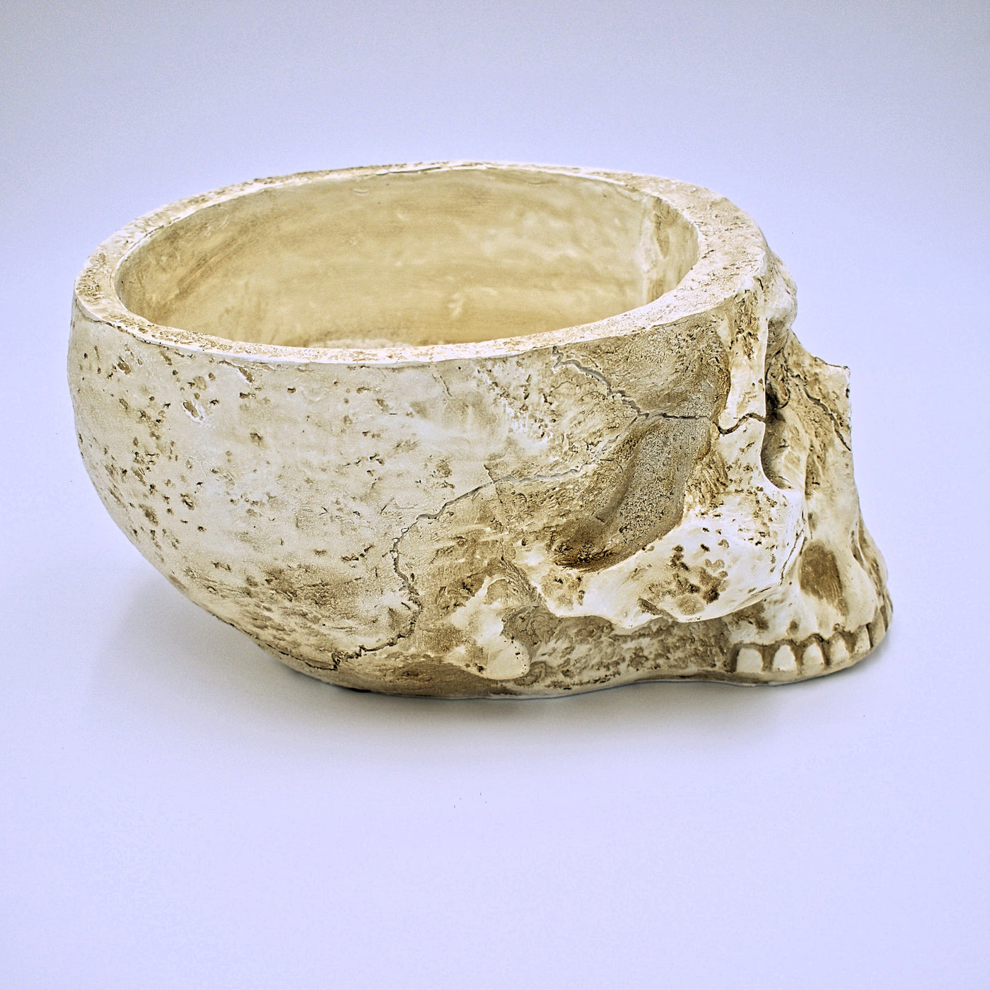 Large Weathered Skull Design Plant Pot - The Cranio Collections