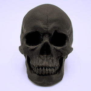 Matte Black Skull Sculpture - The Cranio Collections
