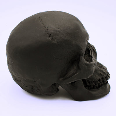 Matte Black Skull Sculpture - The Cranio Collections