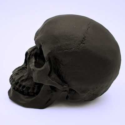 Matte Black Skull Sculpture - The Cranio Collections