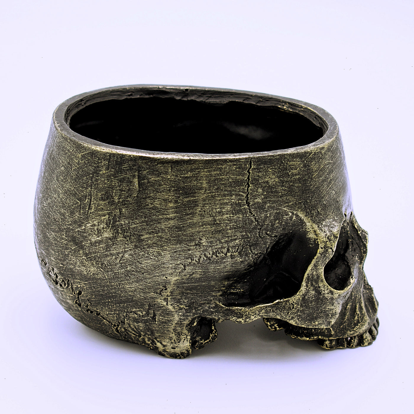 Skull Plant Pot with Drainage Hole - The Cranio Collections