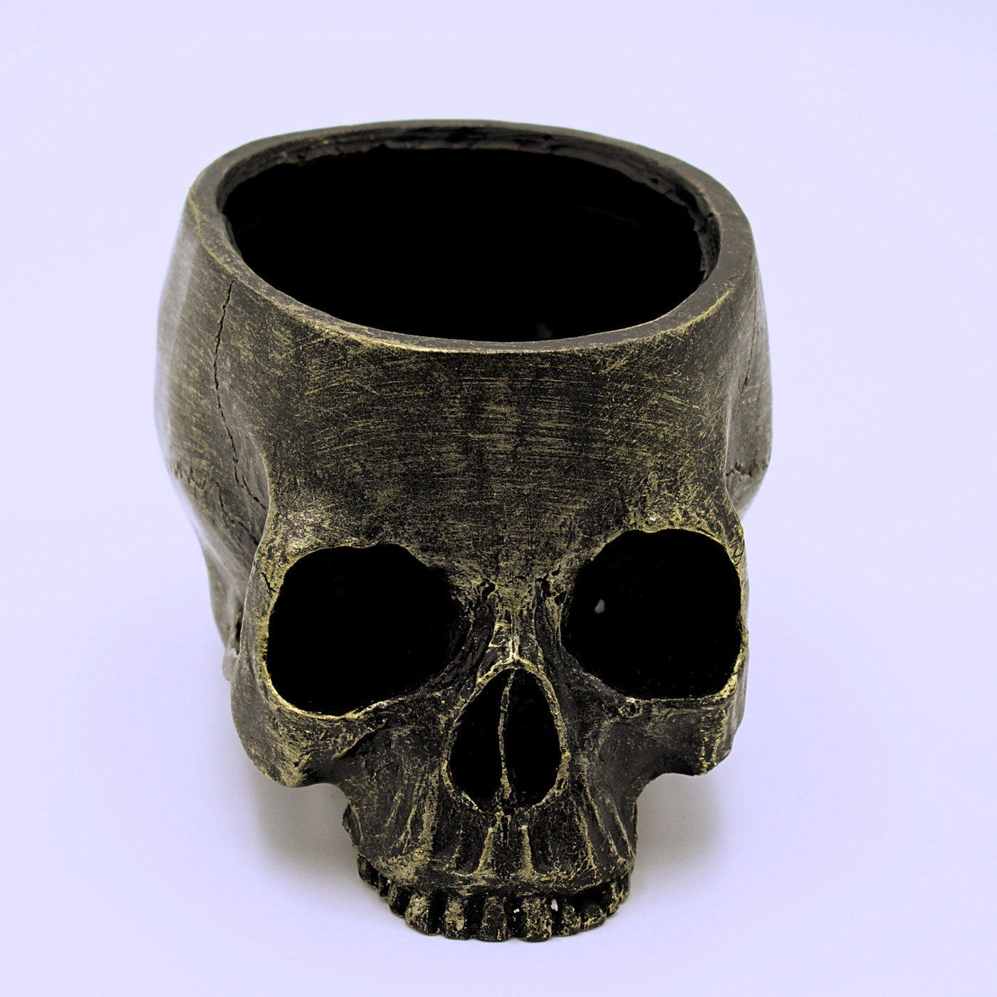 Skull Plant Pot with Drainage Hole - The Cranio Collections