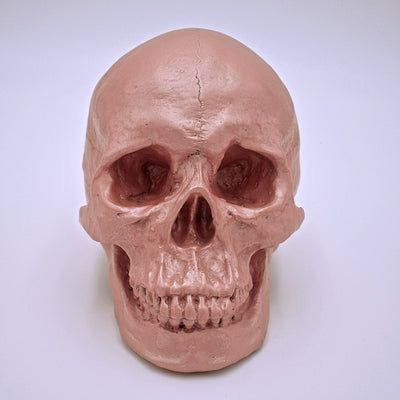 Primrose Pink Skull Sculpture - The Cranio Collections