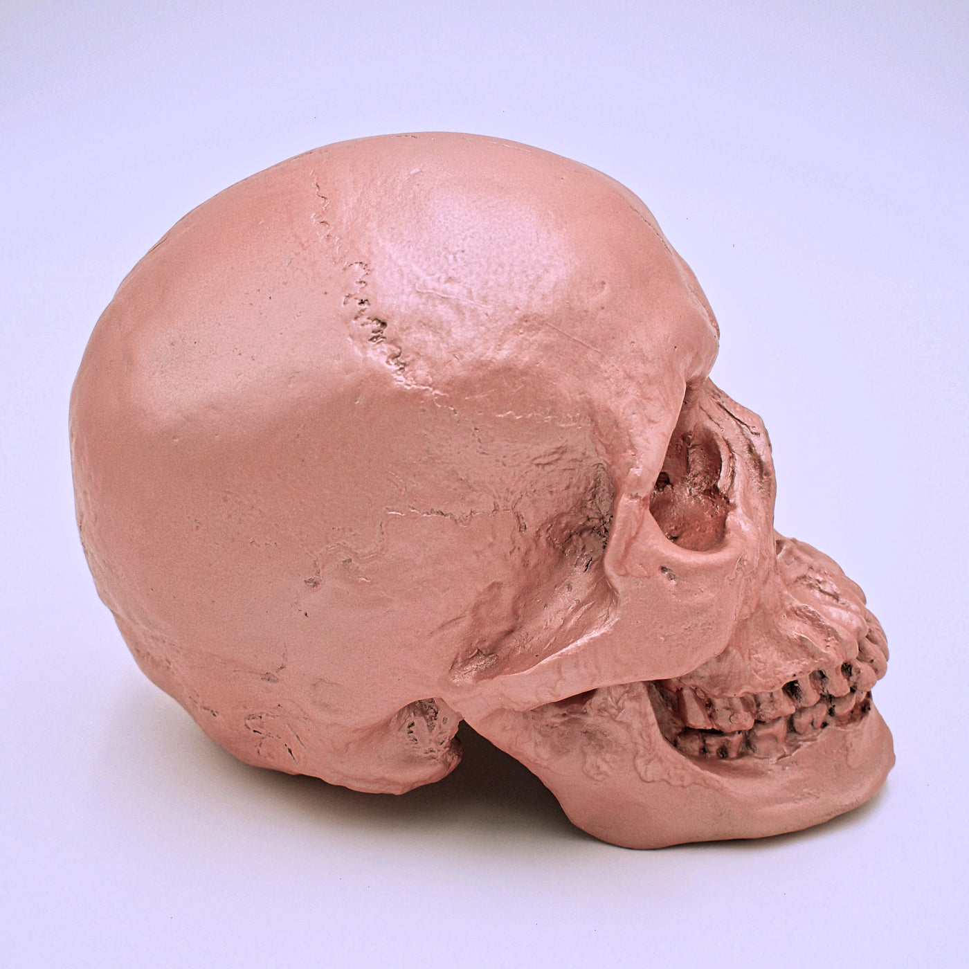 Primrose Pink Skull Sculpture - The Cranio Collections