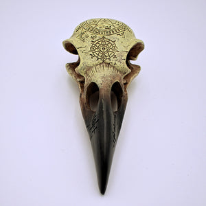 Omega Raven Skull Sculpture - The Cranio Collections