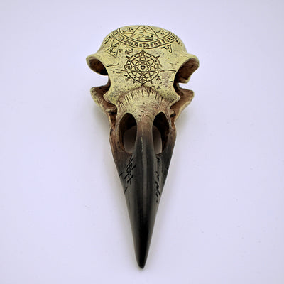 Omega Raven Skull Sculpture - The Cranio Collections