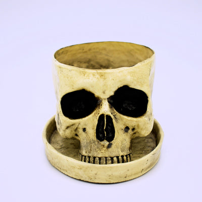 Realistic Design Skull Planter - The Cranio Collections