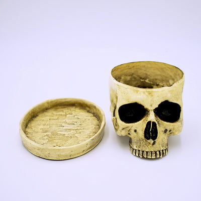 Realistic Design Skull Planter - The Cranio Collections
