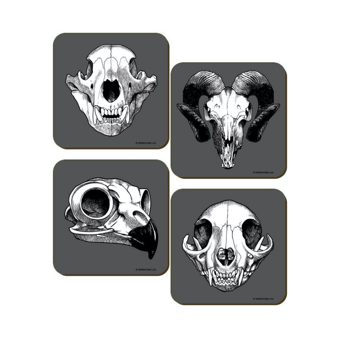 Calvaria Design Beverage Coasters-Set of 4 - The Cranio Collections