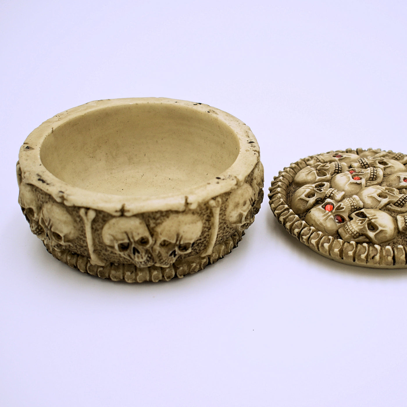 Round Skull Storage Box - The Cranio Collections