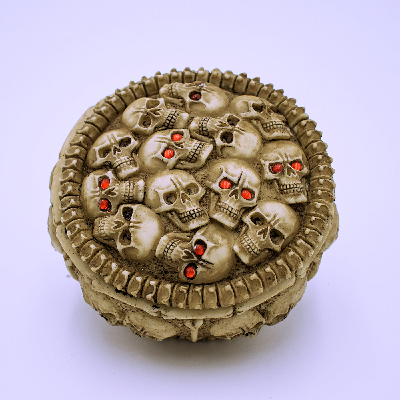 Round Skull Storage Box - The Cranio Collections