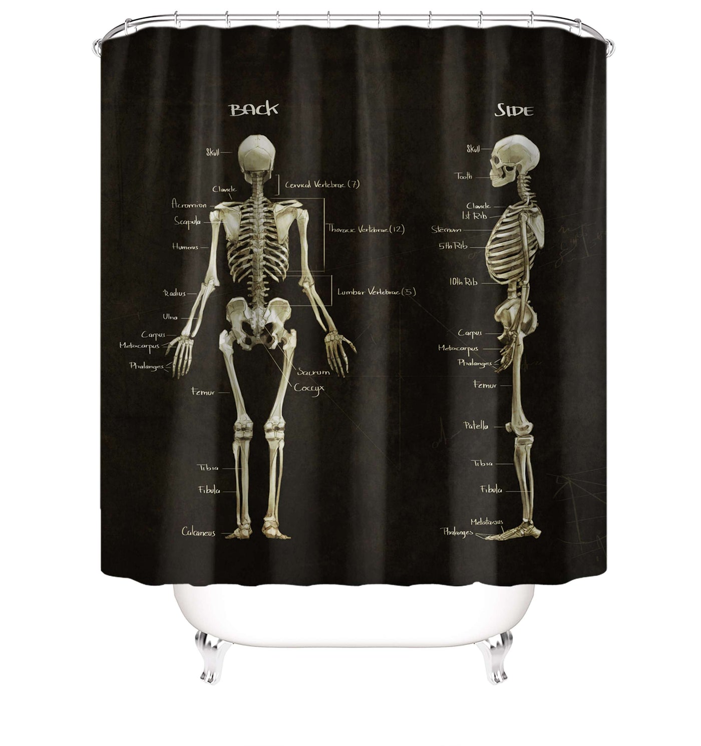 Skull Design Shower Curtains - The Cranio Collections