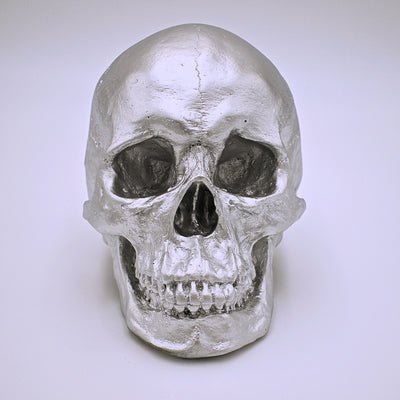 Chrome Silver Style Skull Sculpture - The Cranio Collections