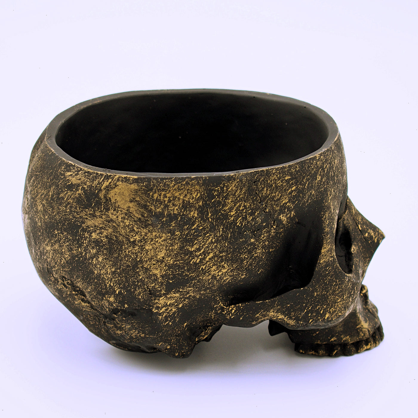 Skull Trinket Bowl - The Cranio Collections