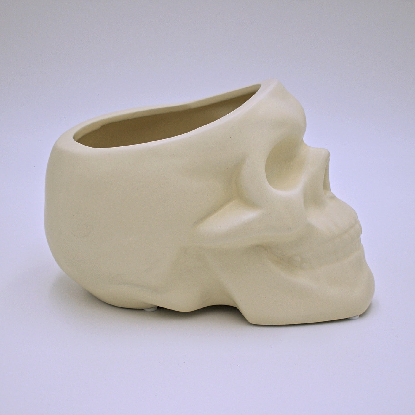 Ceramic Skull Plant Pot - The Cranio Collections