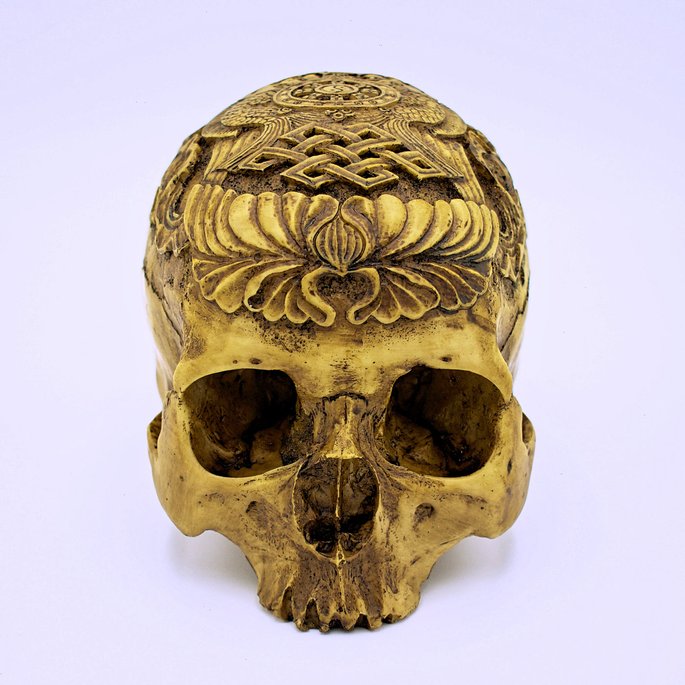 Tibetan Buddhist Carved Skull Sculpture - The Cranio Collections