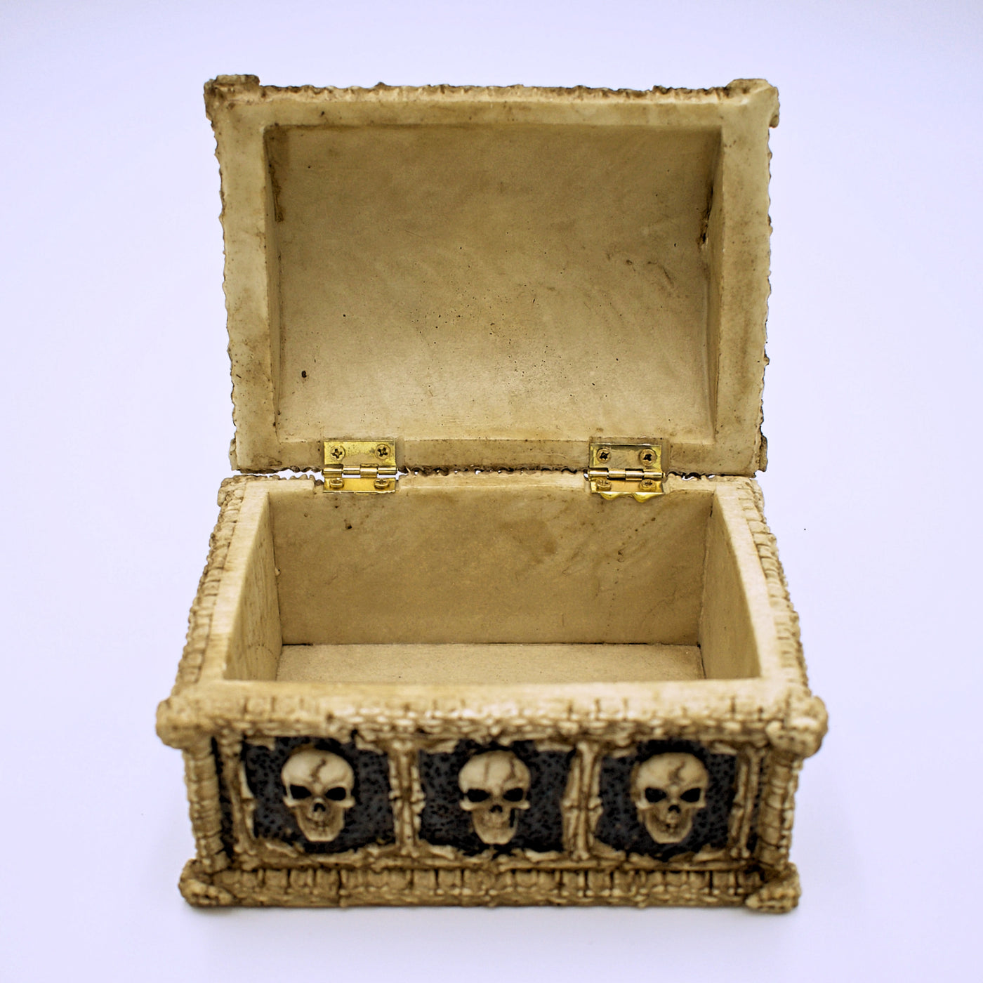 Skull Treasure Storage Box - The Cranio Collections