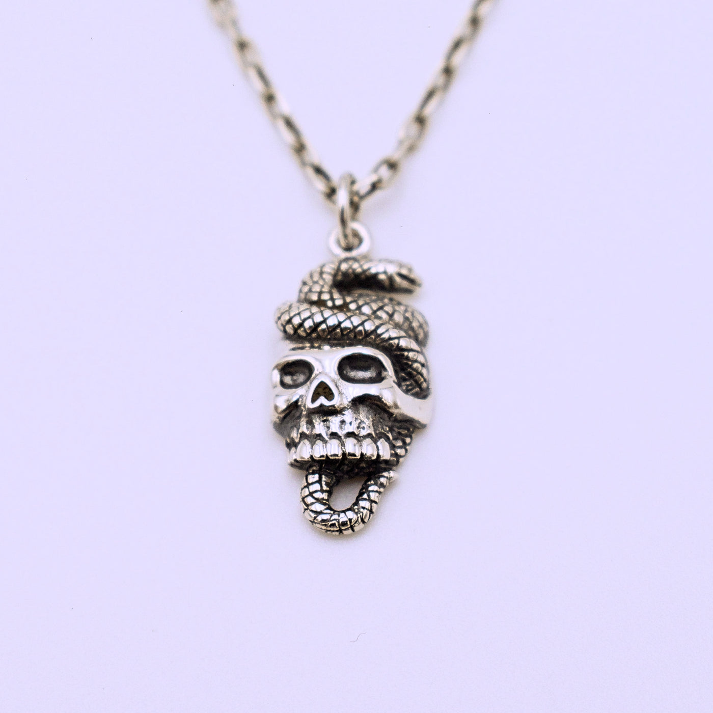 Sterling Silver Skull and Snake Pendant with Chain - The Cranio Collections