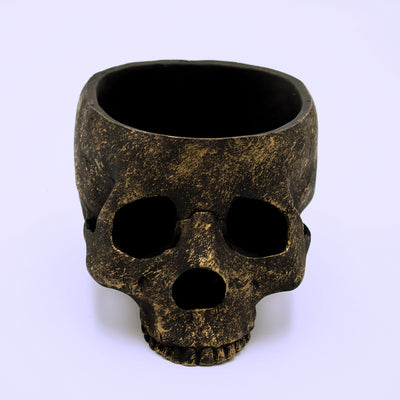 Skull Trinket Bowl - The Cranio Collections
