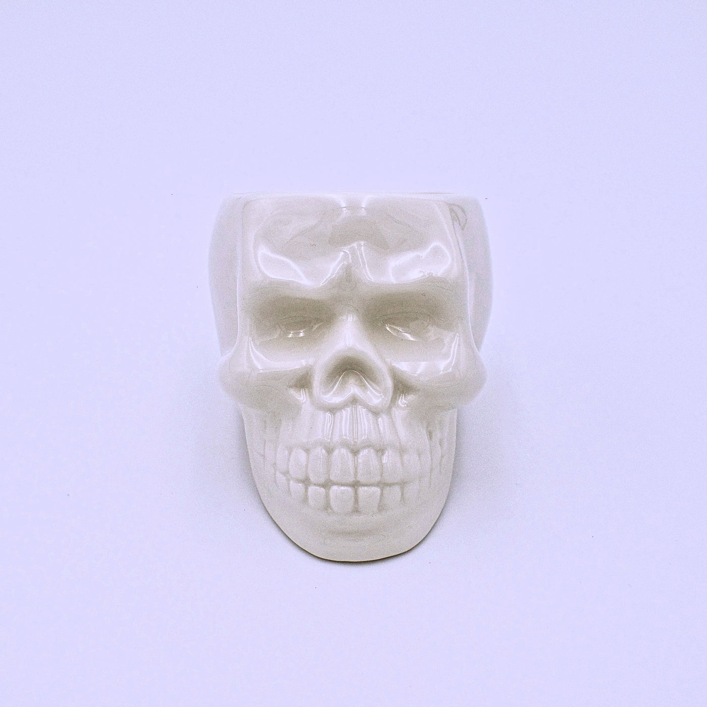 Ceramic Skull Planter - The Cranio Collections