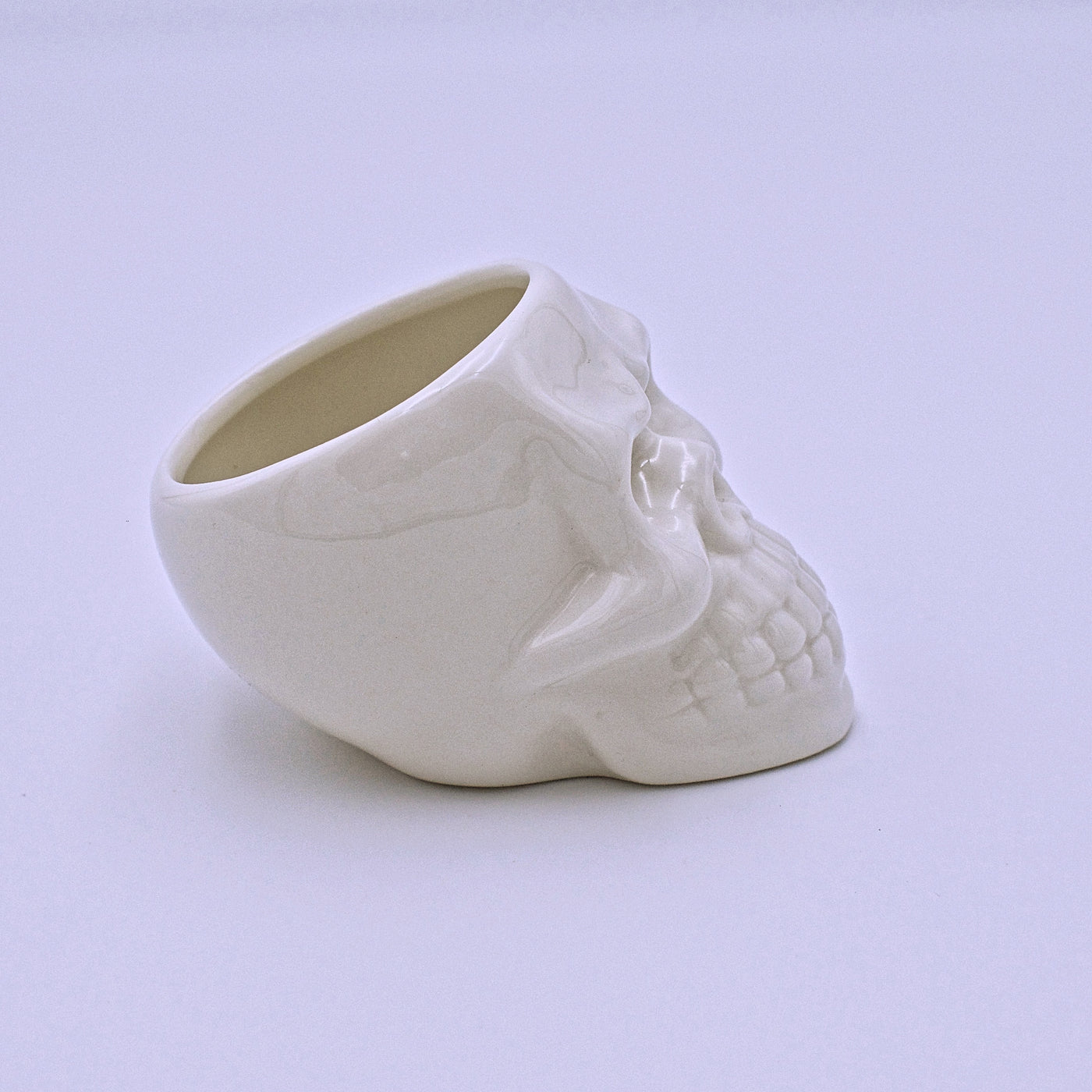 Ceramic Skull Planter - The Cranio Collections