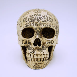 Spirit Board Natural Skull Sculpture - The Cranio Collections