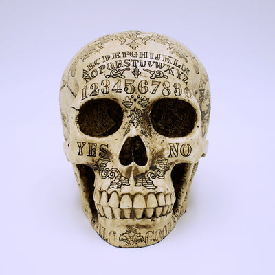Spirit Board Natural Skull Sculpture - The Cranio Collections
