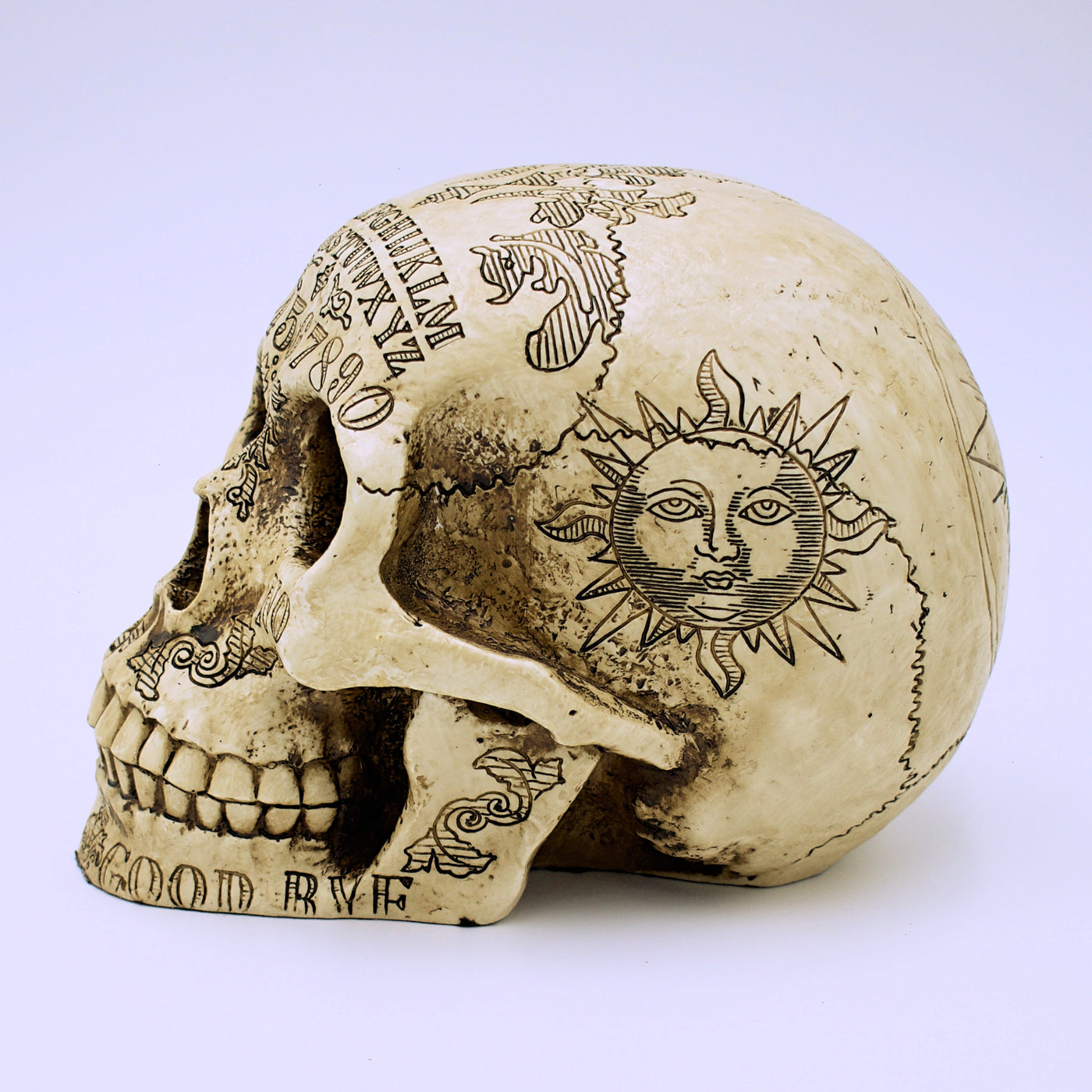 Spirit Board Natural Skull Sculpture - The Cranio Collections