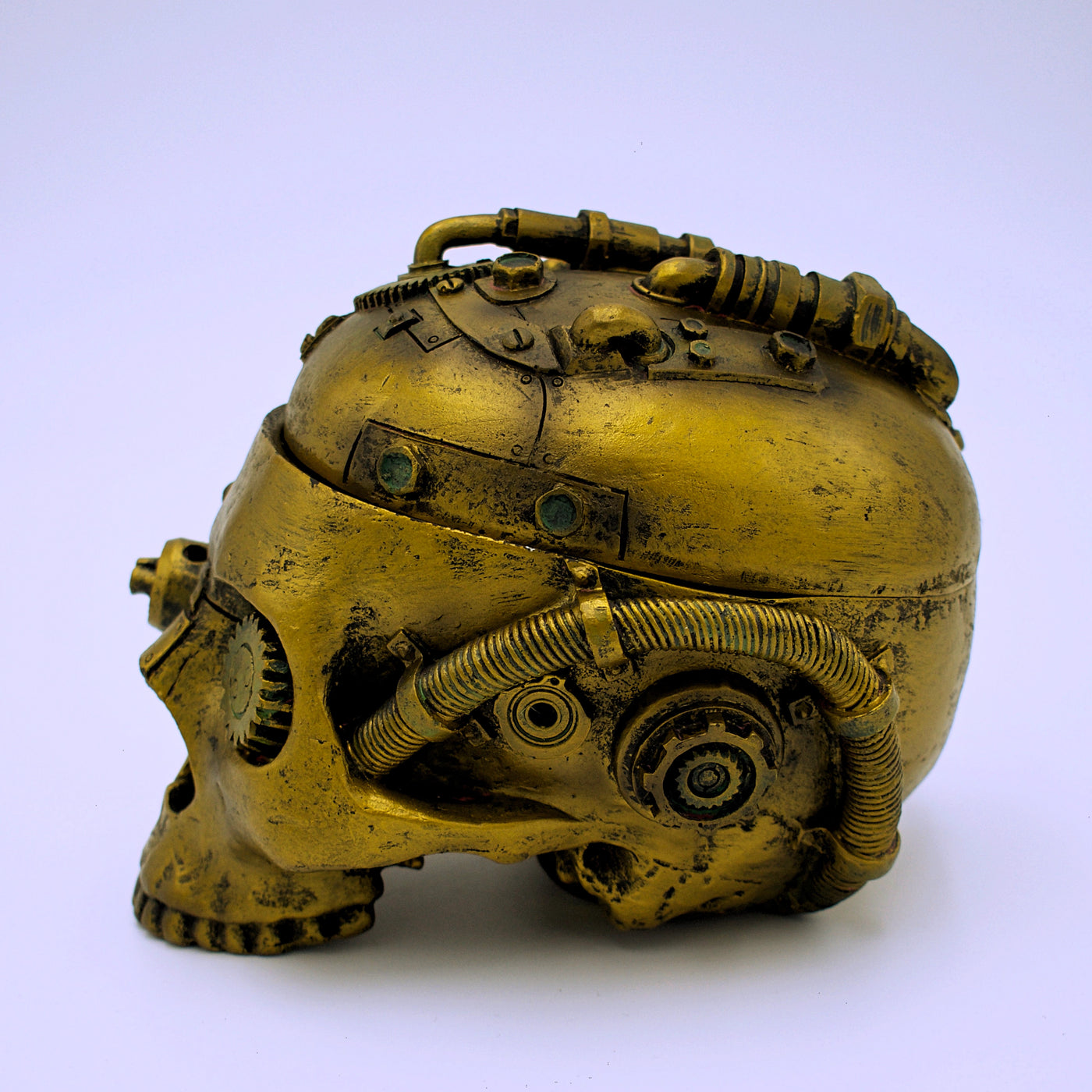 Steampunk Skull Storage Box - The Cranio Collections