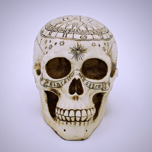 Astrological Design Skull Sculpture - The Cranio Collections